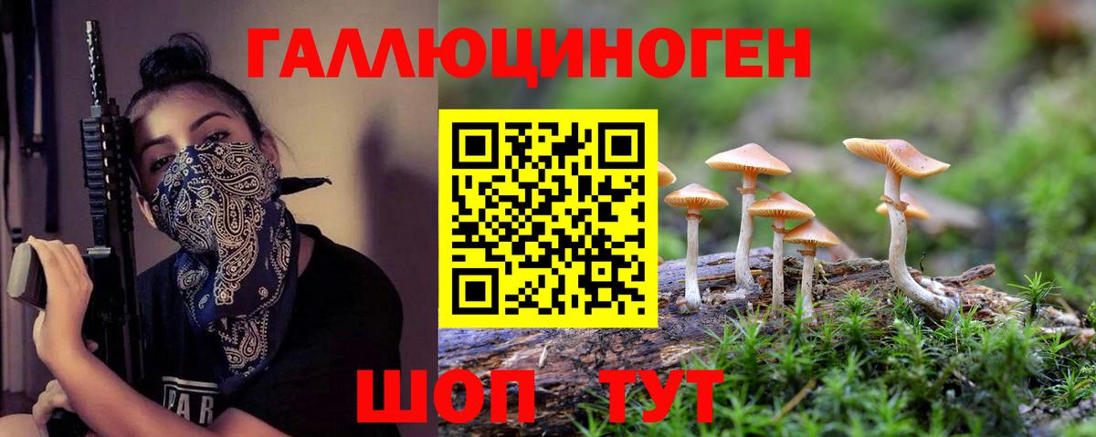Галлюциногенные грибы Гусиноозёрск