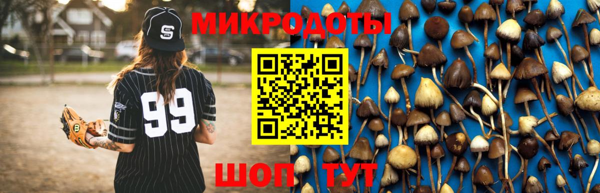Псилоцибиновые грибы Magic Shrooms Гусиноозёрск